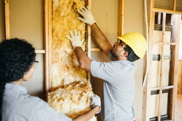 Best Spray Foam Insulation  in Occoquan, VA